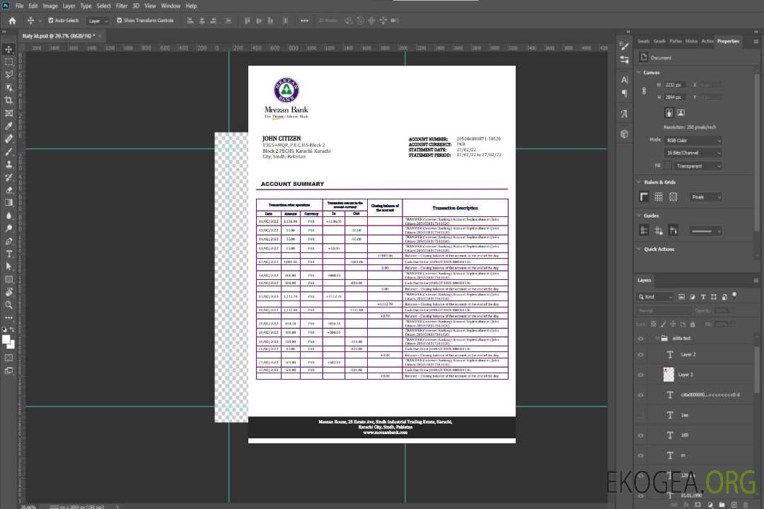 Relevé bancaire Pakistan Meezan template Relevé bancaire Pakistan Meezan template